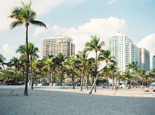 Miami Florida Art Nature and Photo Image 2