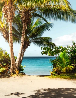 Travel destination Travel destination