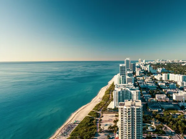 Miami Florida Art Nature and Photo Image 4