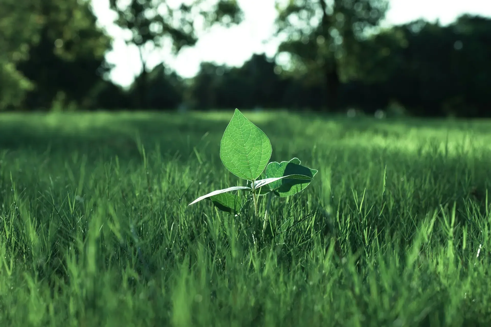 Eco-Friendly Travel: How to Explore Sustainably